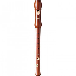 Hohner B9550