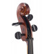 STENTOR 1108/E STUDENT II CELLO OUTFIT 1/2