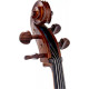 STENTOR 1102/E STUDENT I CELLO OUTFIT 1/2
