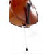 STENTOR 1102/A STUDENT I CELLO OUTFIT 4/4