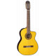 TAKAMINE GC5CE NAT