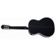 TAKAMINE GC2 BLK