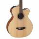 TAKAMINE GB30CE NAT