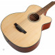 TAKAMINE GB30CE NAT