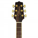 TAKAMINE GD51CE BSB