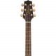TAKAMINE GD71CE BSB