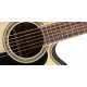 TAKAMINE GN51CE NAT