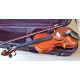 STENTOR 1018E STUDENT STANDARD 1/2