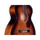 GUILD M-20 (Vintage Sunburst)