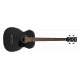 IBANEZ PCBE14MH WK