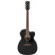 IBANEZ PC14MHCE WK