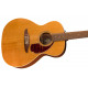 FENDER VILLAGER 12-STRING AGED NATURAL