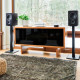 PSB Alpha AM5 Matte Black