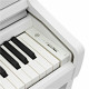 KAWAI CA401W