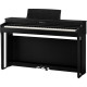 KAWAI CN201B