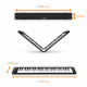 Carry-on Folding Controller Black