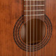 Gewa Pro Arte 4/4 GC-Antique