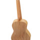 Ortega Art Series Concert Size Ukulele RUAR-EY