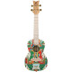 Ortega Art Series Concert Size Ukulele Himalaya (RUAR-HY)
