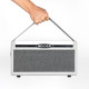 MOOER SD30i
