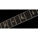PRS SE Mark Holcomb (Holcomb Blue Burst)