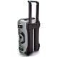 Nanuk 935 (Silver) Foam 6UP Pistol Case