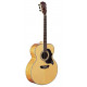 WASHBURN J28 SDL