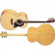 WASHBURN J28 SDL