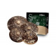 ZILDJIAN S FAMILY DARK CYMBAL PACK