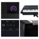 THE ONE NEX (BLACK)