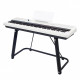 THE ONE TON1 (WHITE)