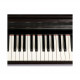 THE ONE TOP2 (ROSEWOOD)