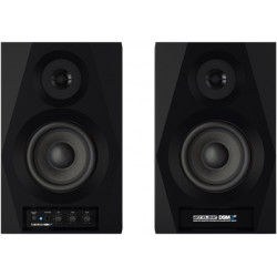 RELOOP DSM-3 BT