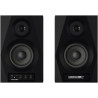 RELOOP DSM-3 BT