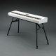 ROLAND KS13