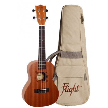 FLIGHT NUC310 CONCERT