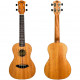 FLIGHT DUC373 MAH CONCERT