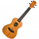 FLIGHT DUC373 MAH CONCERT
