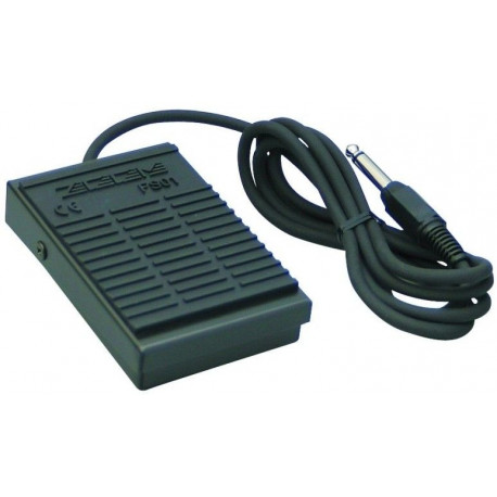 ZOOM FS-01