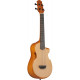 IBANEZ AUT10 OPN
