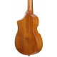 IBANEZ AUT10 OPN