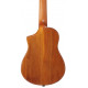 IBANEZ AUT10 OPN