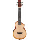 IBANEZ AUC10E OPN