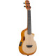 IBANEZ AUC10E OPN