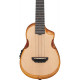 IBANEZ AUC10E OPN