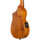 IBANEZ AUC10E OPN