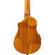 IBANEZ AUC10E OPN