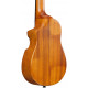 IBANEZ AUC10E OPN