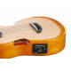 IBANEZ AUC10E OPN