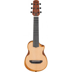 IBANEZ AUP10N OPN